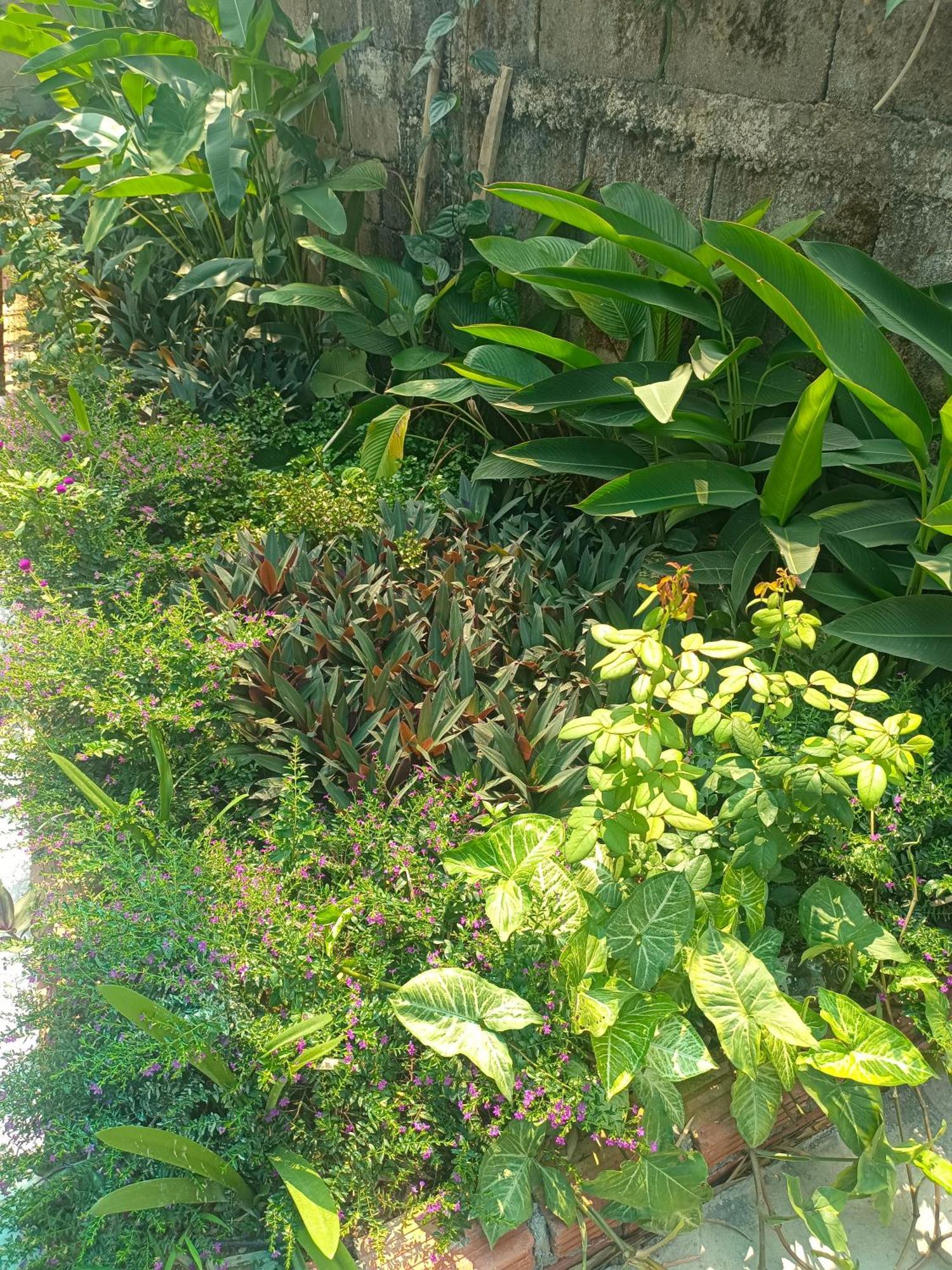 Vang Vieng Champa Hotel Exterior foto